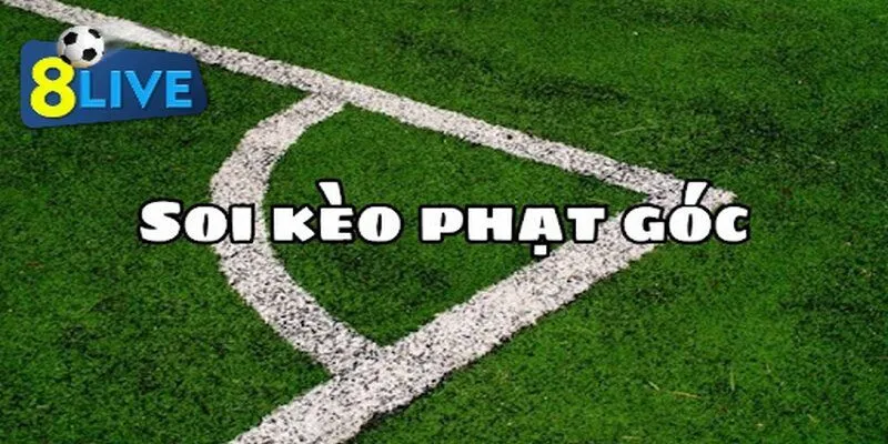 Cận cảnh những pha cược nằm trong loại hình phổ biến này
